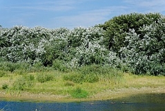 DSC 5559