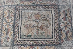GSF 1315