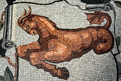 GSF 1155