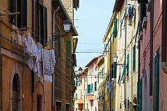 GSF 3128